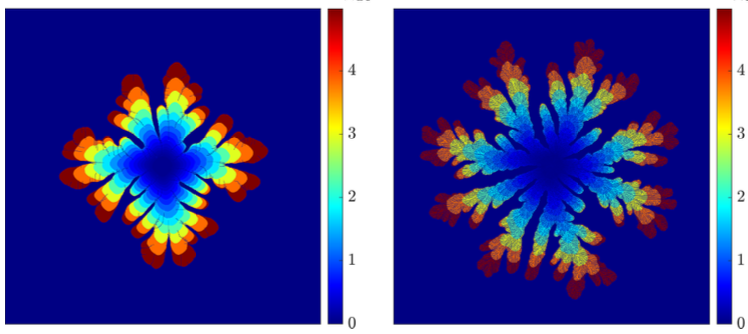 Hele-Shaw fractal figure